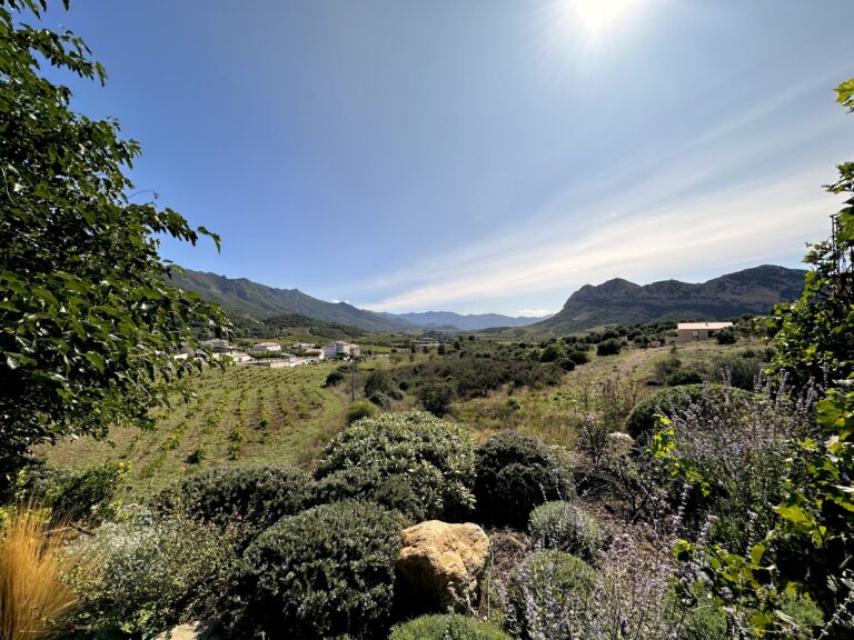 13 great places for natural wine in Corsica